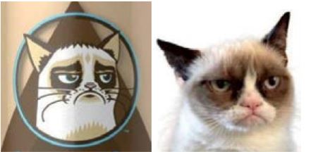 Grumpy Cat victorious in court