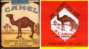 Camel dromedary misses the boat